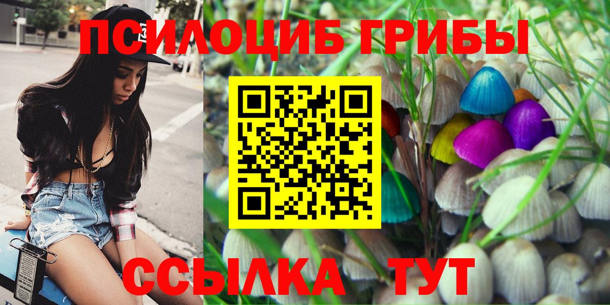 Псилоцибиновые грибы мухоморы Долгопрудный